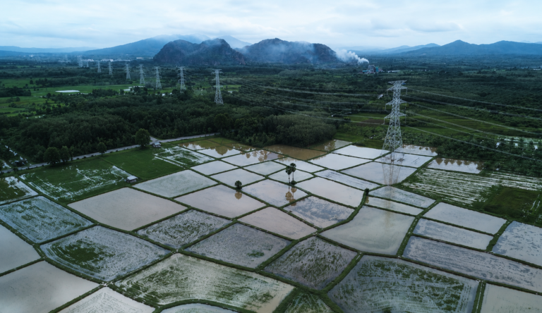 Rejecting Energy Power Plant of Waste in Basoh Yaring Wetlands